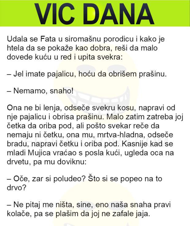 vic-dana-fata-domacica-foto